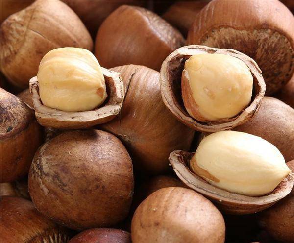 三千年華夏瑰寶 從“堅(jiān)果之王”到冷門堅(jiān)果的落寞轉(zhuǎn)身