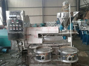 專業(yè)供應(yīng)元鑫芝麻榨油機(jī) 高效穩(wěn)定的機(jī)械選擇